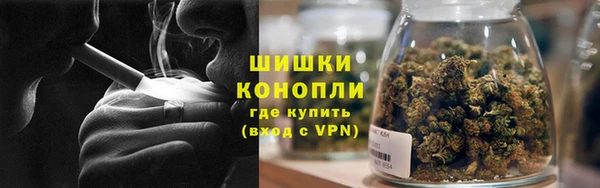 гидра Нестеровская